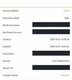 Redacted transfer record